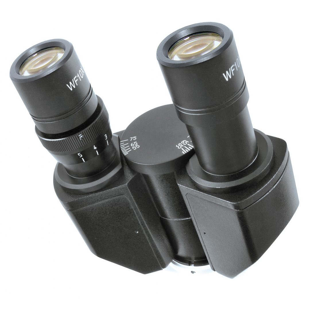 Binokulares Mikroskop B-304
